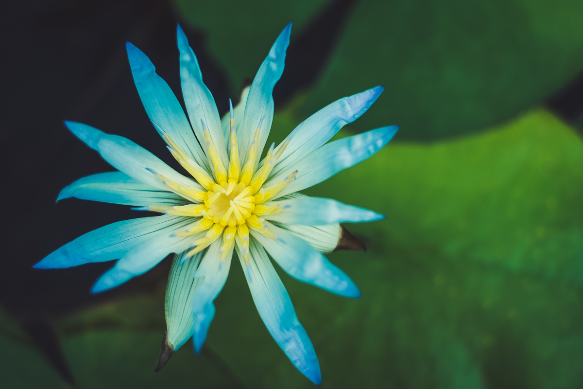 Adelaide Day Photography Workshop  - Photo 1 of 6