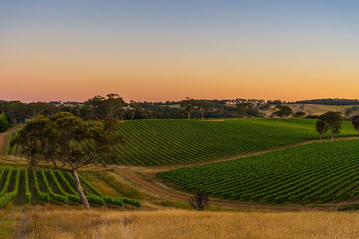 Adelaide Hills Divine Wine Tour - Photo 1 of 9