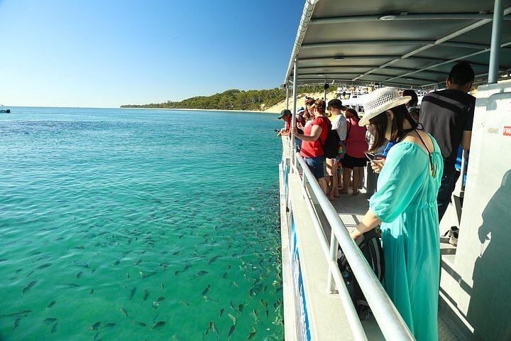 Experience the stunning waters of Tangalooma Island surrounded by sunken shipwrecks and marine life perfect for both guided tours and leisurely exploration at your own pace.