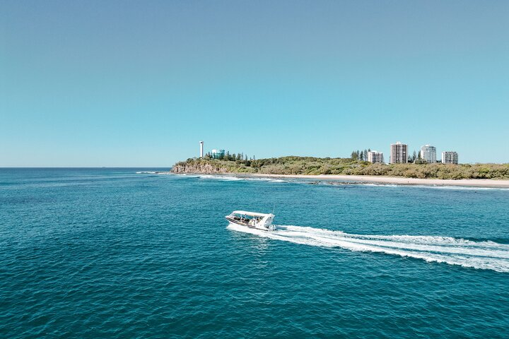 Adventure Rafting - Mooloolaba Turtle Tour - Photo 1 of 13