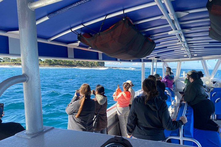 Adventure Rafting - Mooloolaba Turtle Tour - Photo 1 of 11