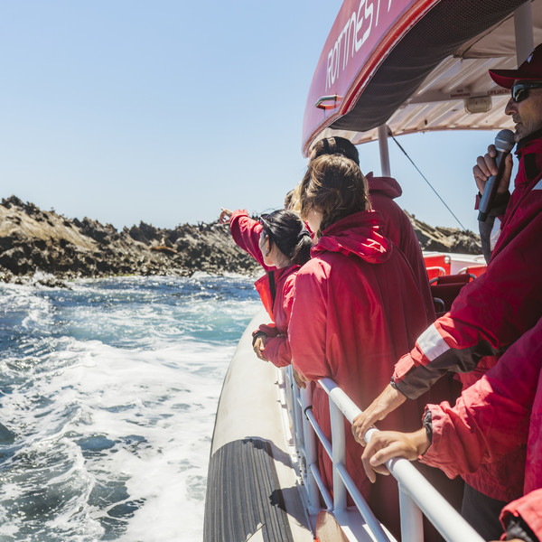Adventure Rottnest Tour (ex Northport) - Photo 1 of 1