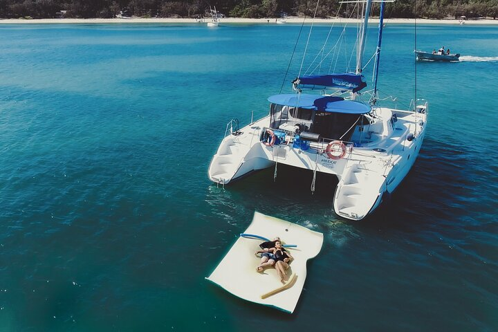 Sail through turquoise waters on a luxurious catamaran unwind on a sandy beach and enjoy refreshing dips as you embrace the beauty of Moreton Bay's marine wonders.