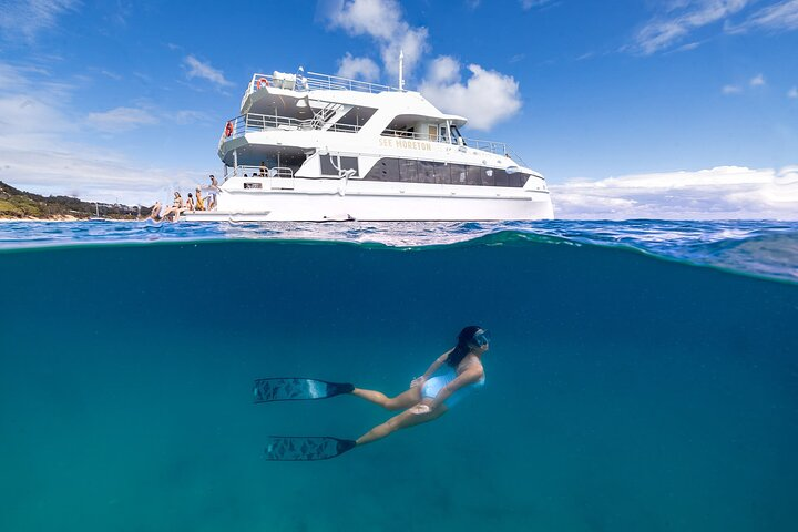 See Moreton Snorkelling