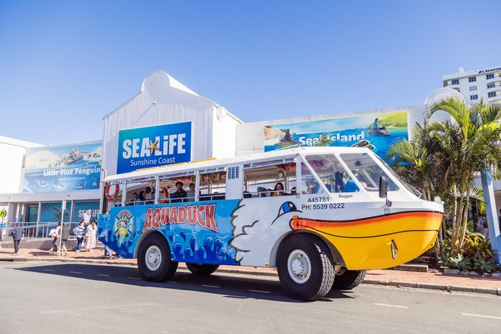 Aquaduck Sunshine Coast - 1hr Mooloolaba Amphibious Tour - Photo 1 of 12
