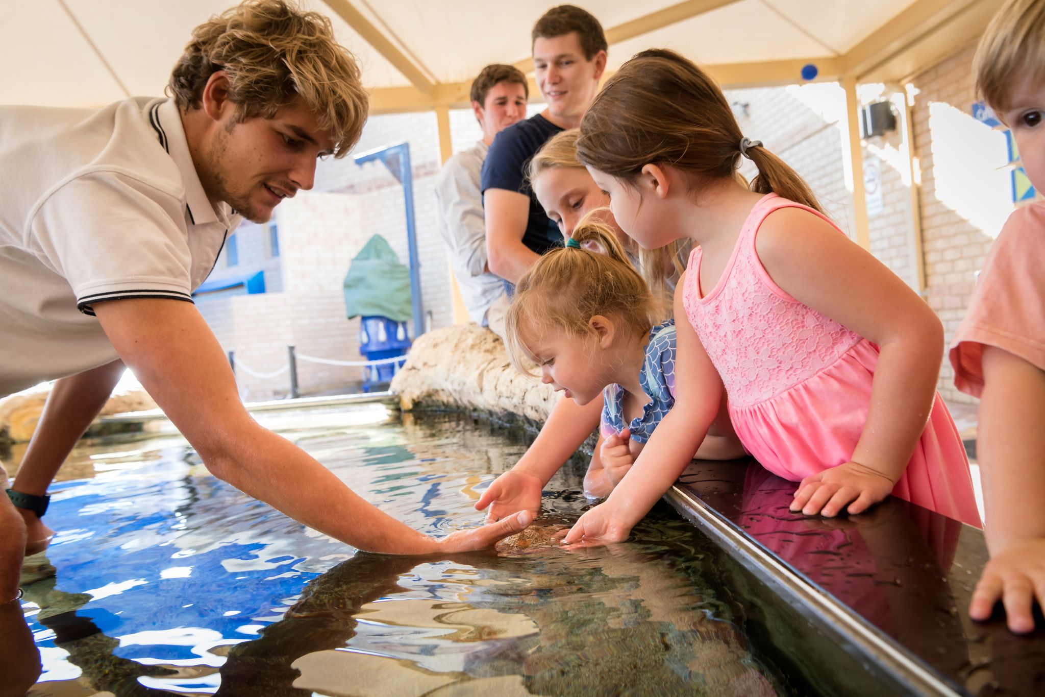 Experience the joy of touching marine life as children interact with fascinating creatures creating unforgettable memories at the Aquarium of Western Australia. Dive into adventure and wonder!
