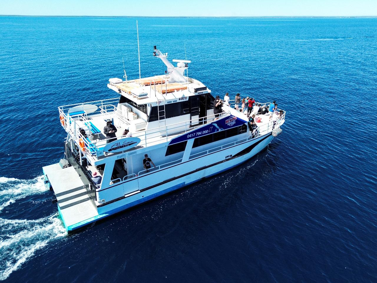 Augusta Whale Watching - Photo 1 of 9