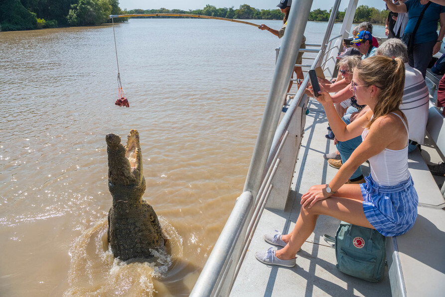Autopia Tours: Jumping Crocodile Tour from Darwin - Photo 1 of 21