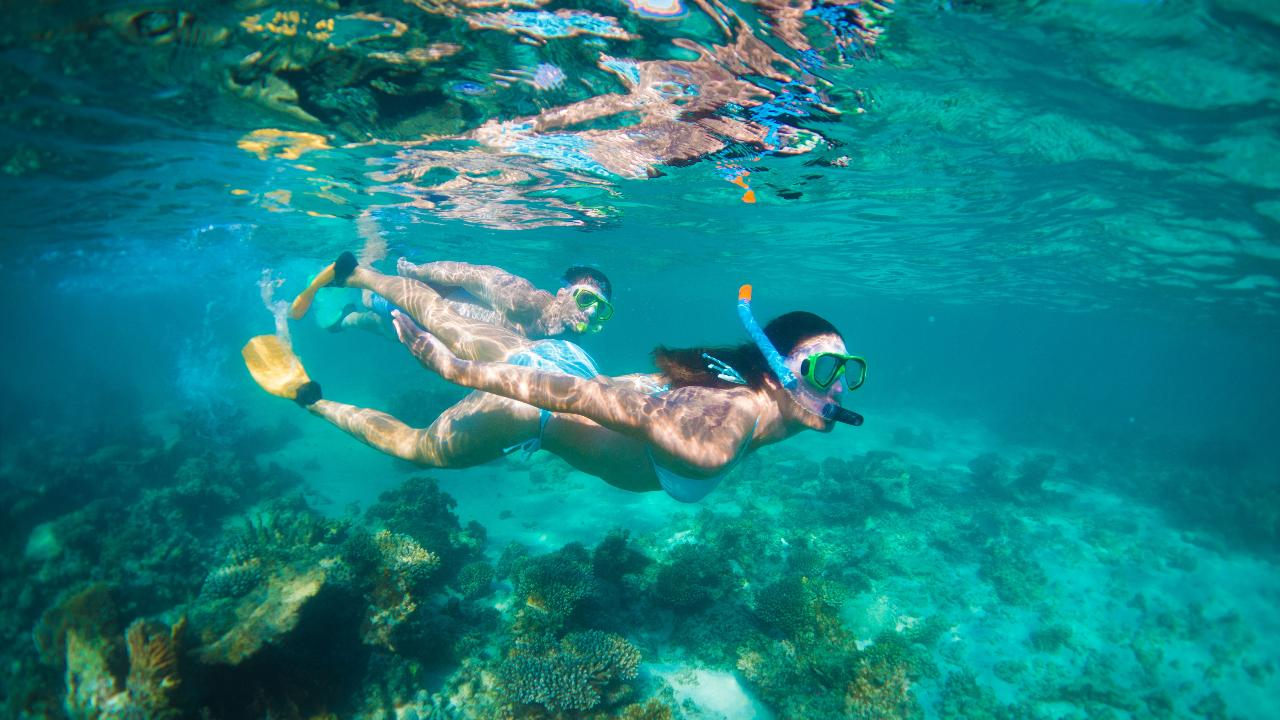 Autopia Tours: Perth to Exmouth 6 Day Coral Coaster (Private Double/Twin Room) - Photo 1 of 17