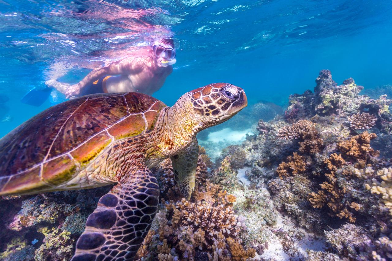 Autopia Tours: Perth to Exmouth Explorer 7 Day (Shared Accommodation) - Photo 1 of 17