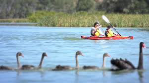 Banrock - Private Guided Kayaking Tour & Picnic Package (TC) - Photo 1 of 15