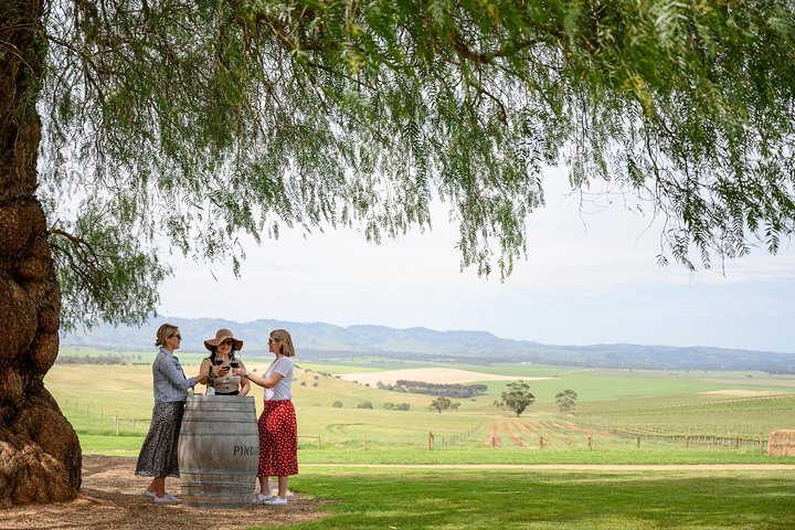 Pindarie Cellar Door