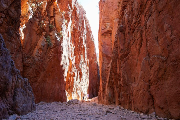 Best of Alice Springs Full Day Tour - Photo 1 of 9