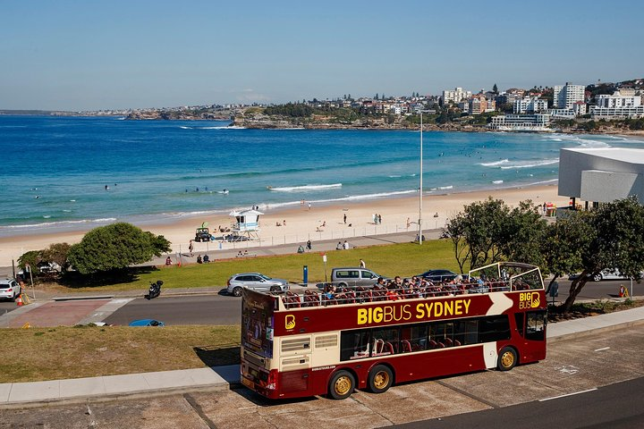 Big Bus Sydney and Bondi Hop-on Hop-off Tour - Photo 1 of 11
