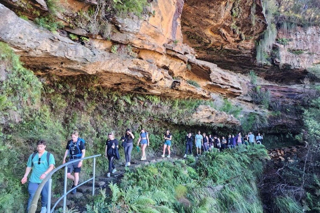 Blue Mountains: Full-Day Guided Tour from Sydney + Waterfall Walk + Lunch - Photo 1 of 6