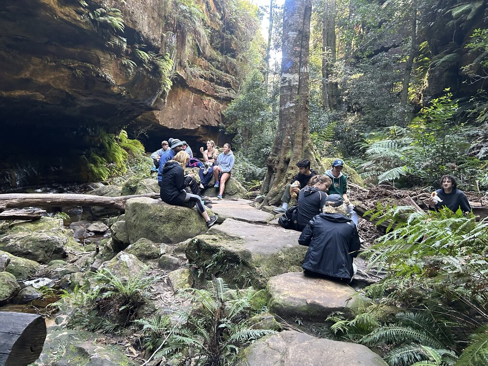 Blue Mountains Private Eco Tour - Small Group Nature Adventure from Sydney - Photo 1 of 3