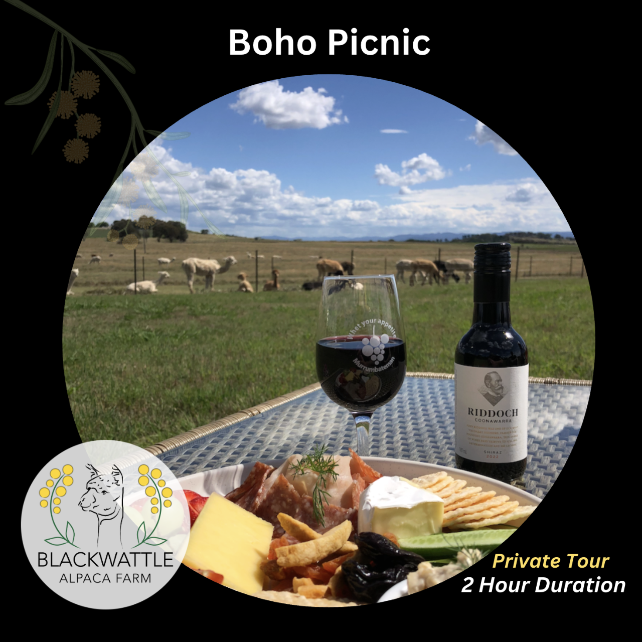 Boho Picnic - Photo 1 of 1
