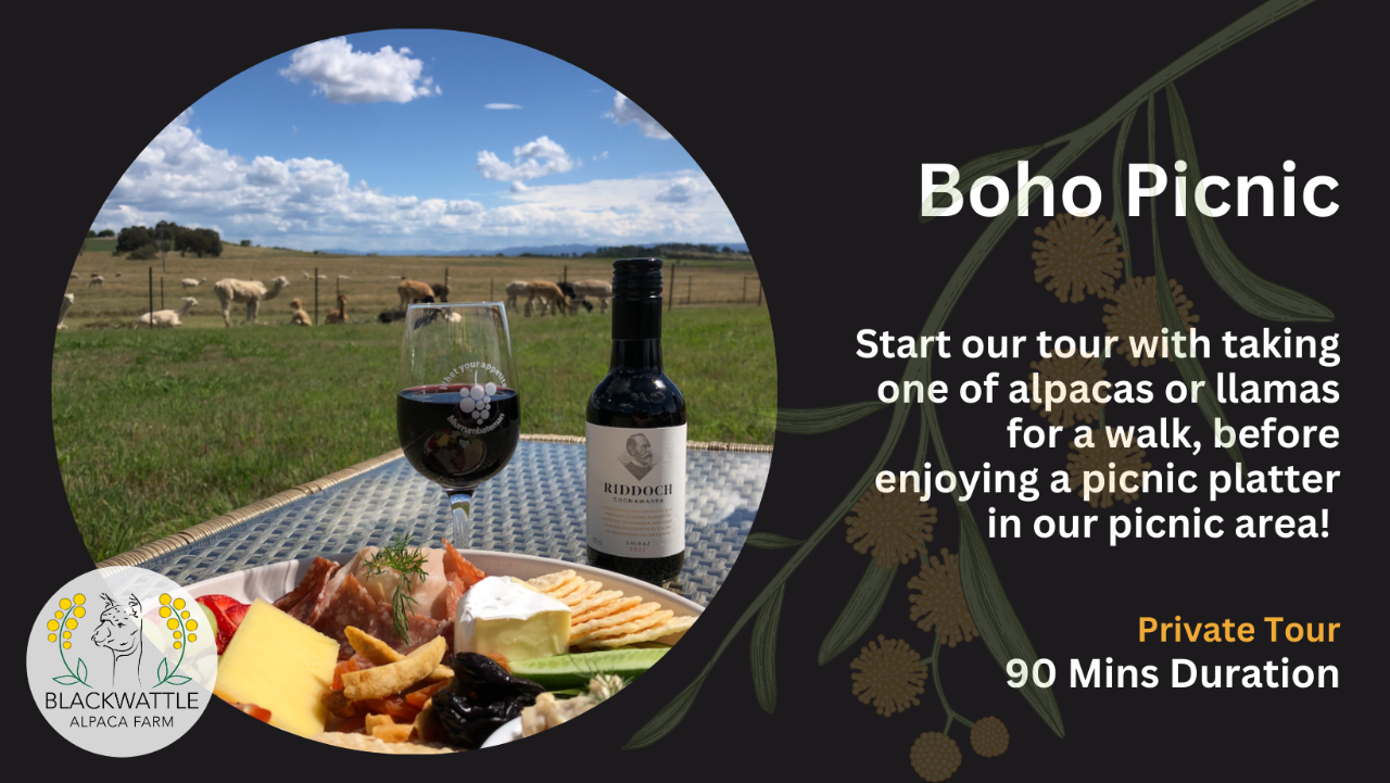 Boho Picnic - Photo 1 of 5