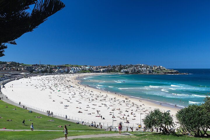 beautiful Bondi