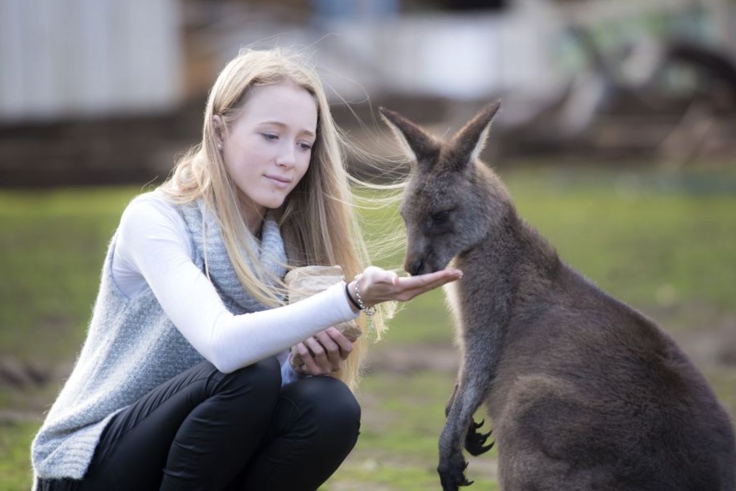 Bonorong Wildlife Sanctuary Entry Tickets - Photo 1 of 9