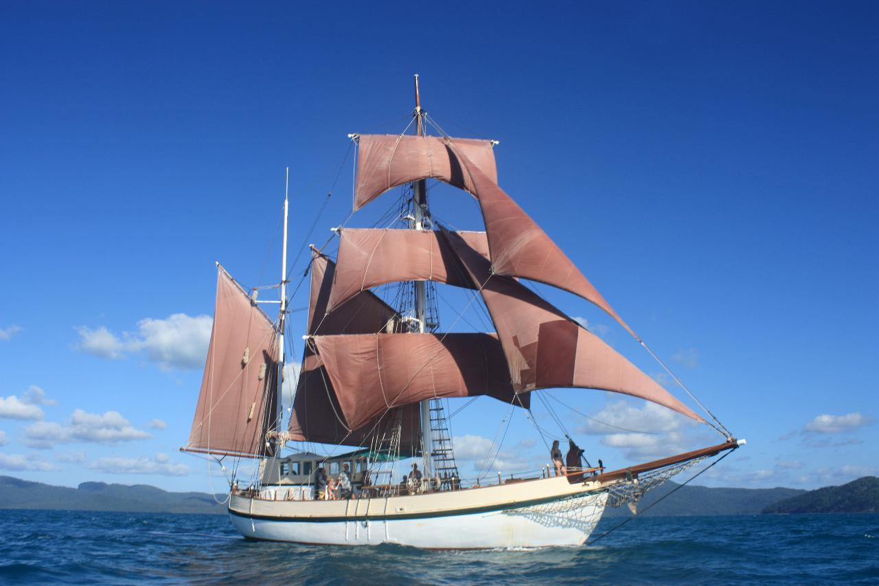 Boxing Day: Sydney to Hobart Yacht Race - Coral Trekker - Photo 1 of 1