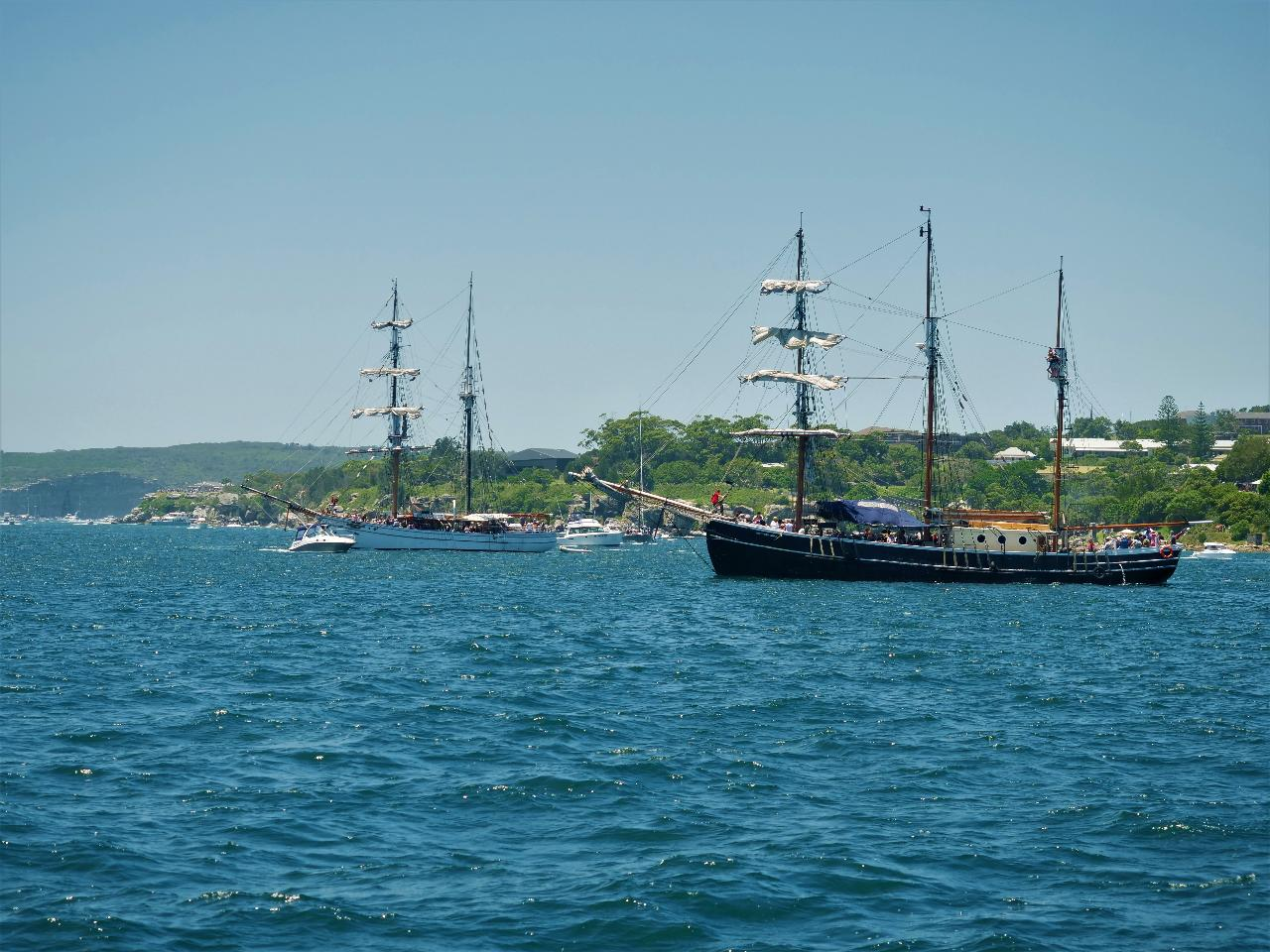 Boxing Day: Sydney to Hobart Yacht Race on Soren Larsen - Photo 1 of 1