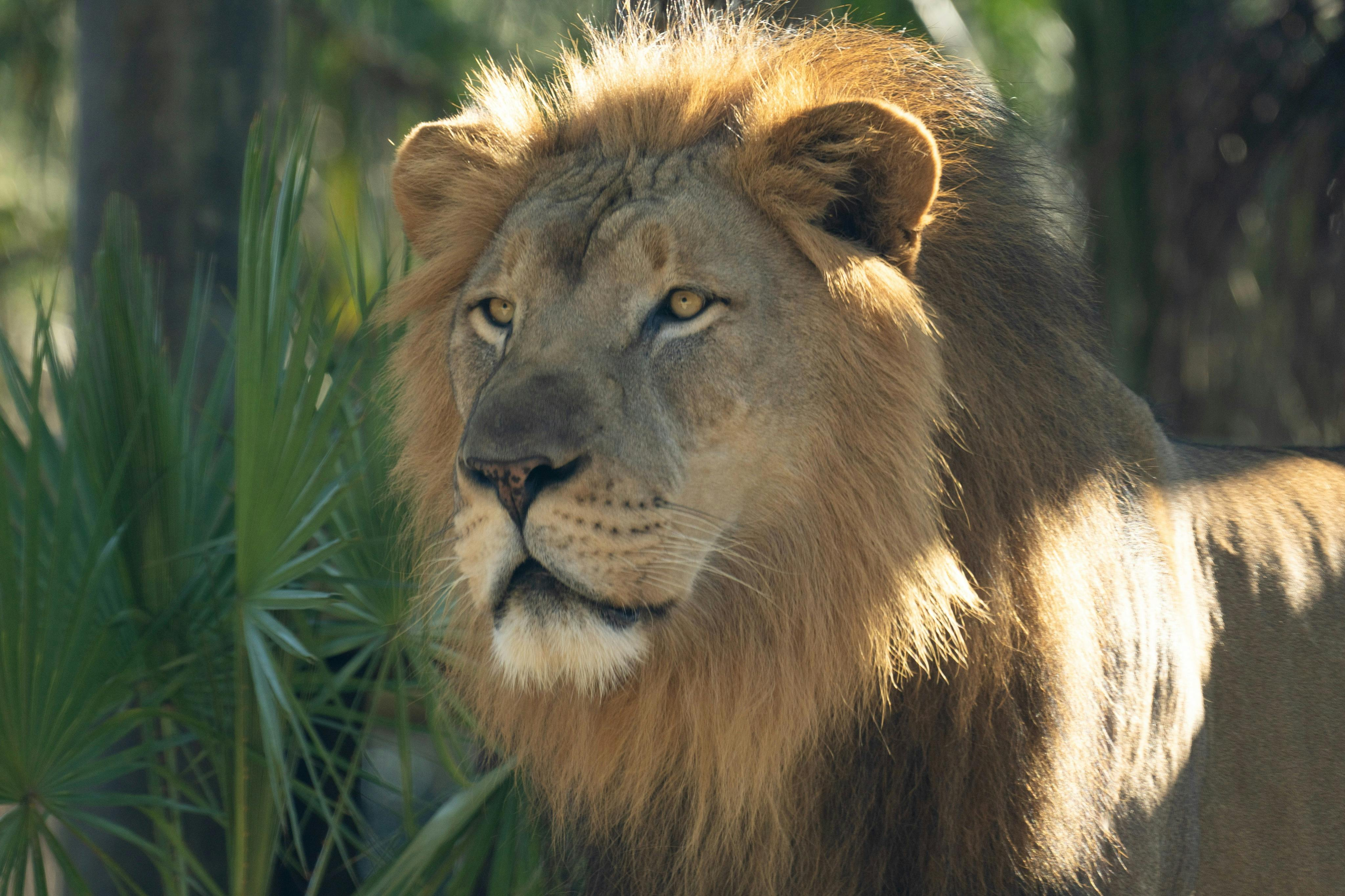 Brevard Zoo: Entry Ticket - Photo 1 of 6