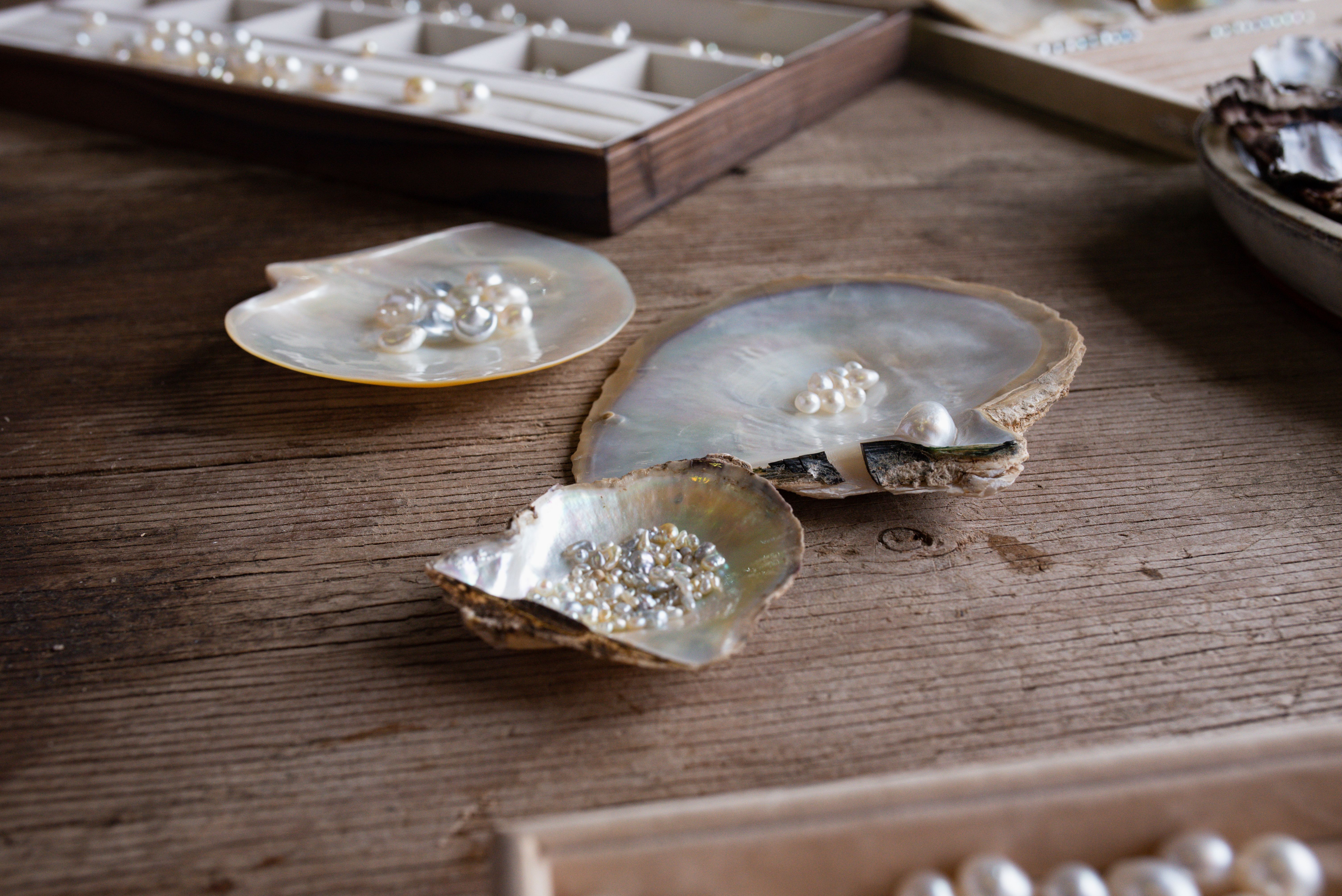 Delve into the artistry of pearl farming with hands-on experiences from grading to crafting stunning jewelry all set in a picturesque backdrop of Australia's only pearl farm.