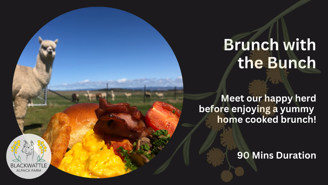 Brunch with the Bunch - Photo 1 of 3