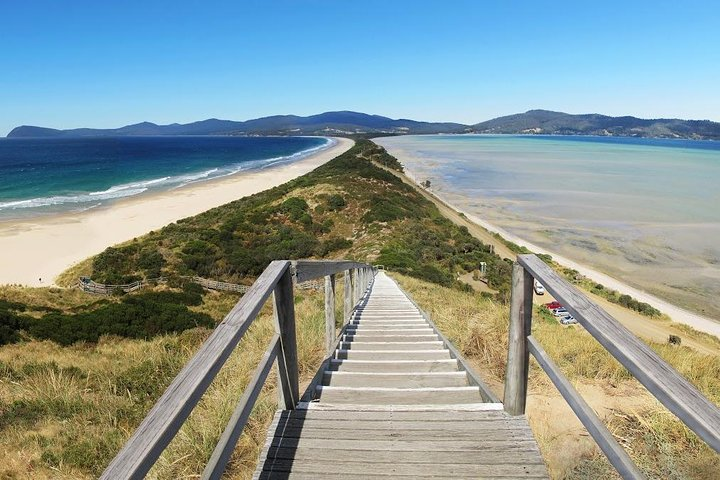 Bruny Island Day Tour Private Charter Service - Photo 1 of 7