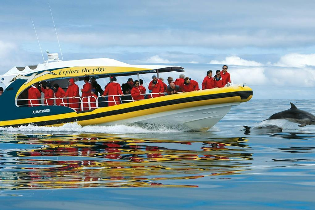 Bruny Island: Guided Full Day Tour From Hobart + Cruise + Lunch - Photo 1 of 8