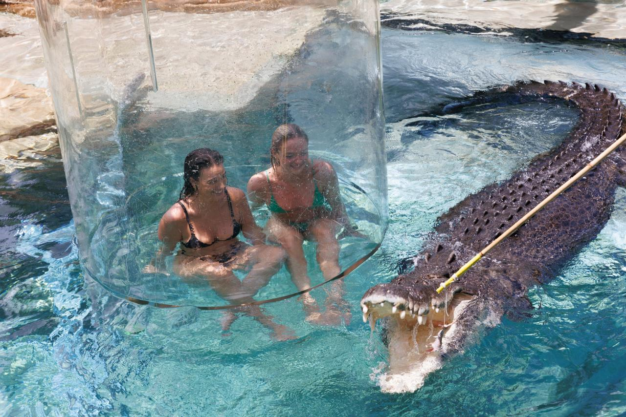 Cage of Death Experience for 2 at Crocosaurus Cove - Photo 1 of 3