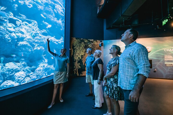 Cairns Aquarium by Twilight Tour - Photo 1 of 10