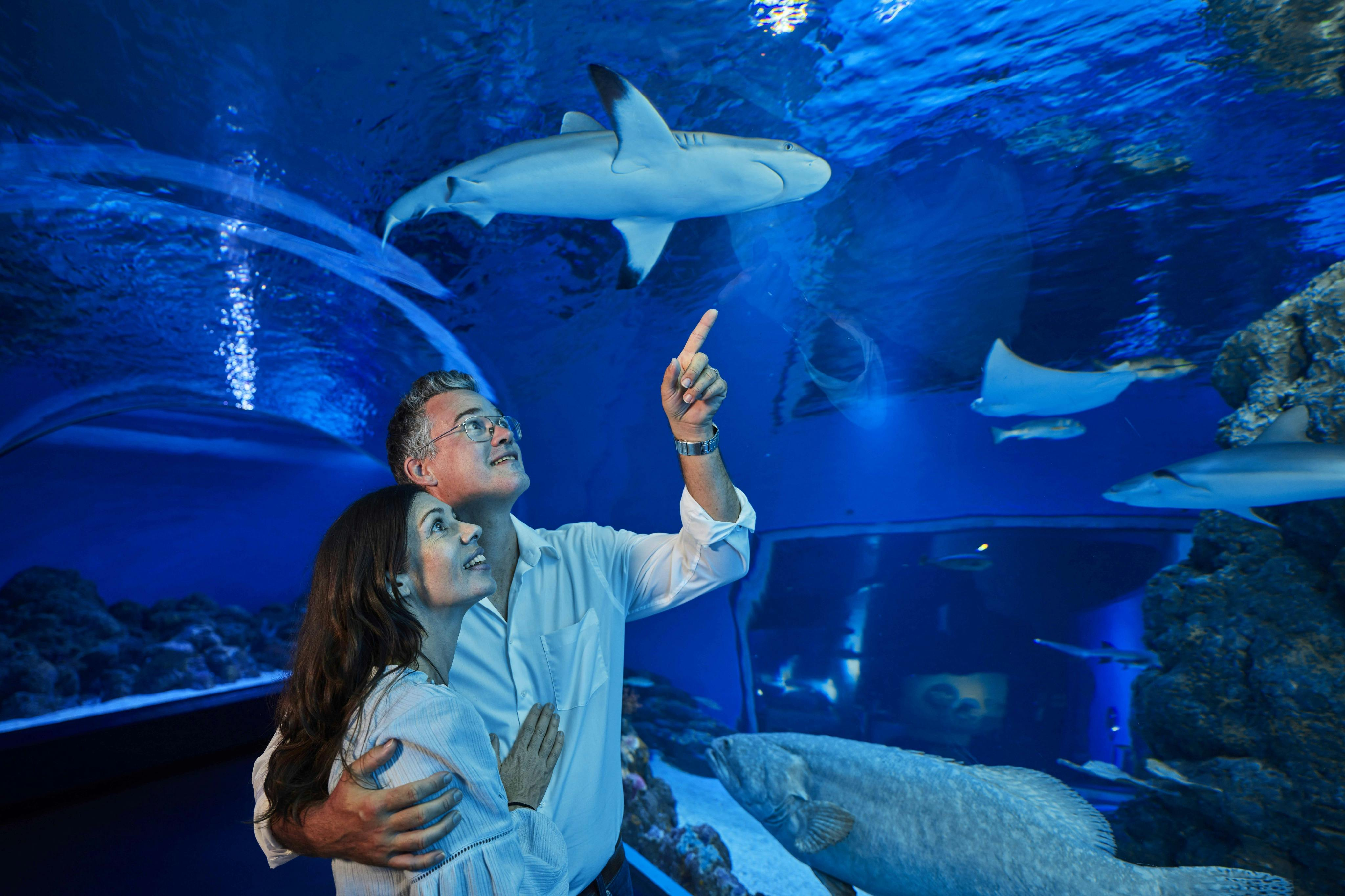 Cairns Aquarium by Twilight - Photo 1 of 8