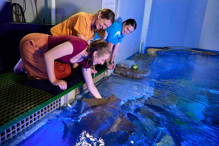 Cairns Aquarium Marine Life Encounter Ticket - Photo 1 of 7