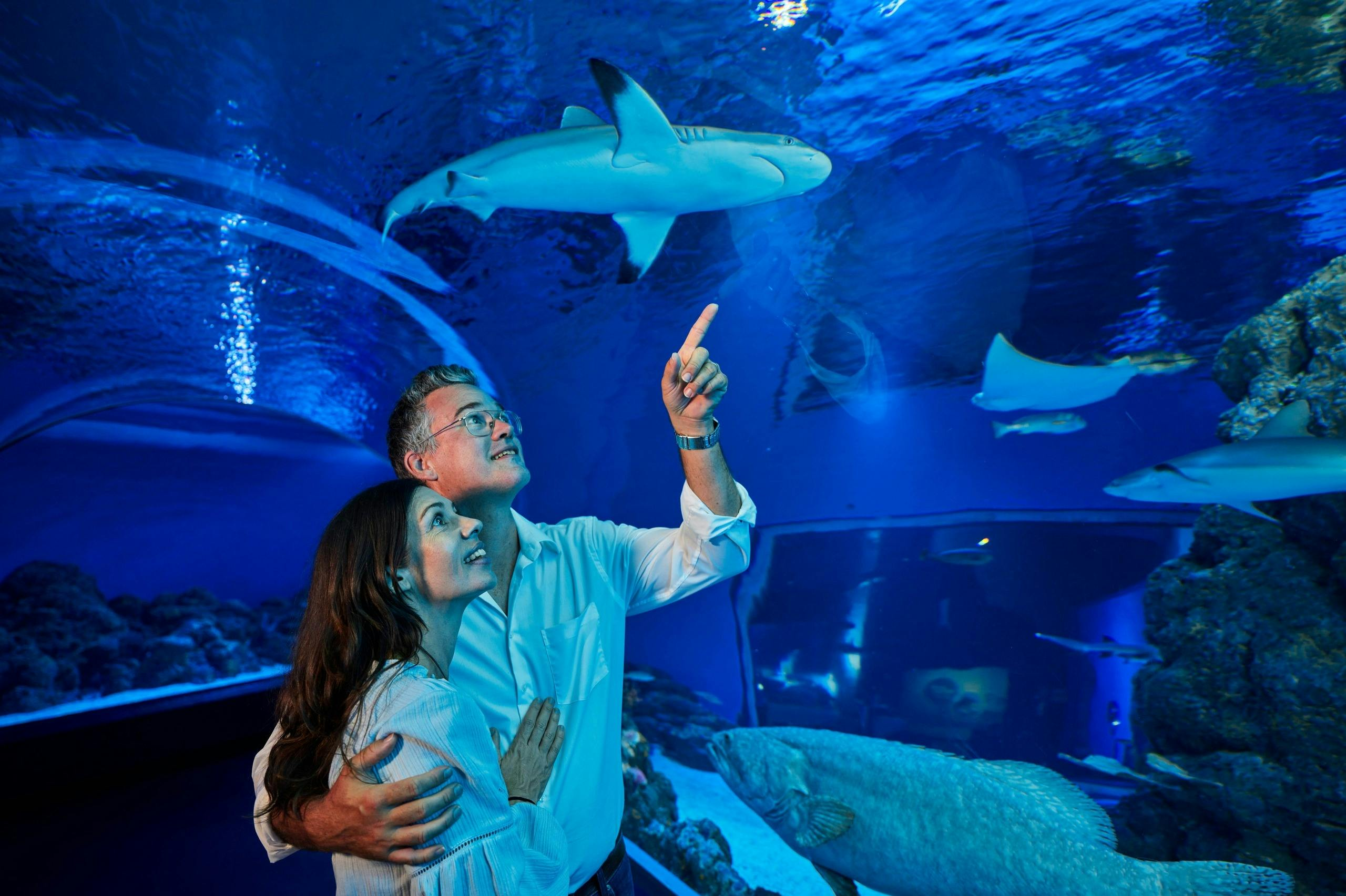 Cairns Aquarium & Tomb of the Pharaohs: Entry Ticket - Photo 1 of 6