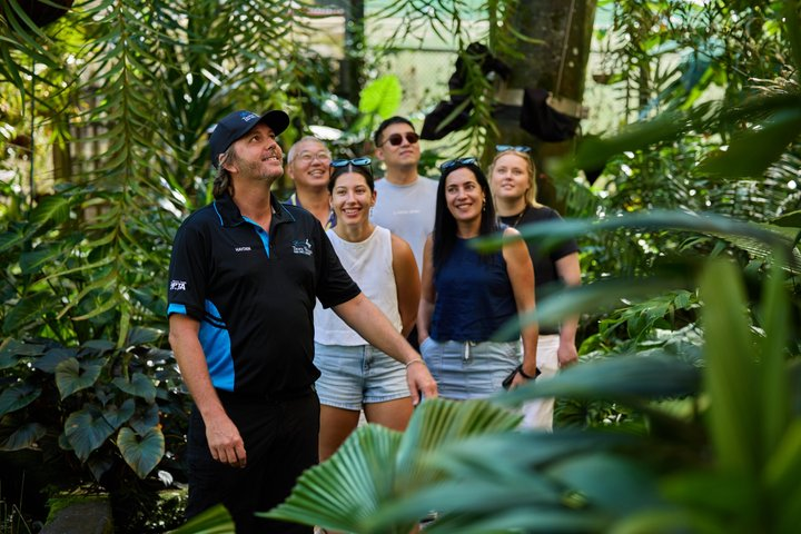 Cairns City Sights and Surrounds Tour - Photo 1 of 11