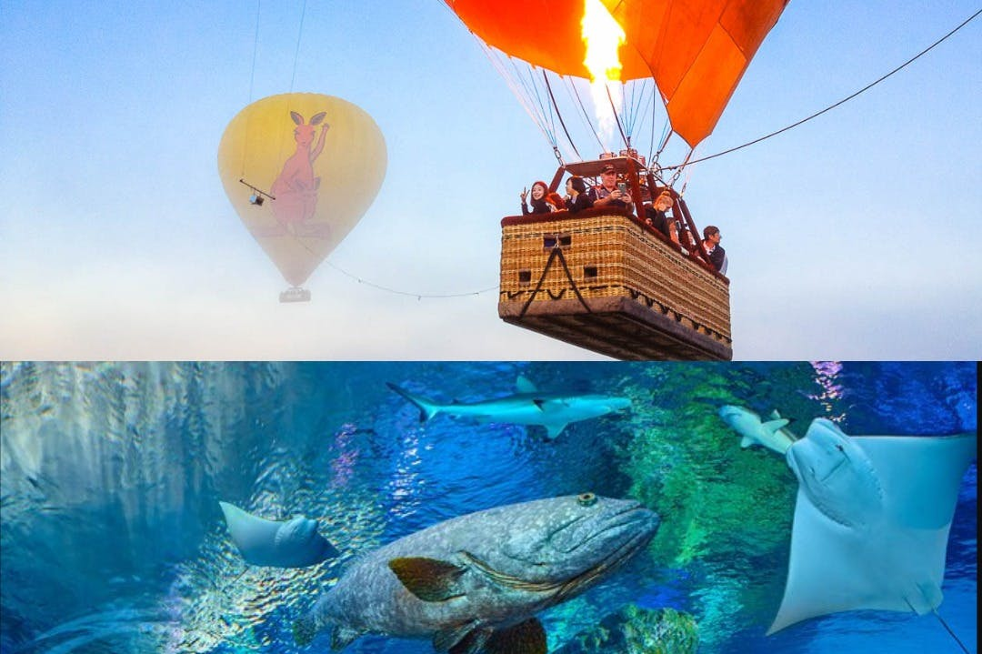 Cairns: Hot Air Balloon Flight + Transfer + Snacks + Optional Activities - Photo 1 of 8