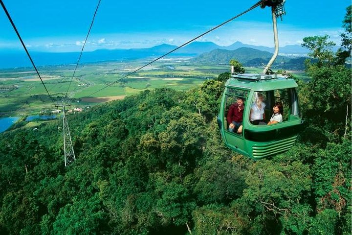 Soar above ancient rainforest on the award-winning Skyrail Rainforest Cableway