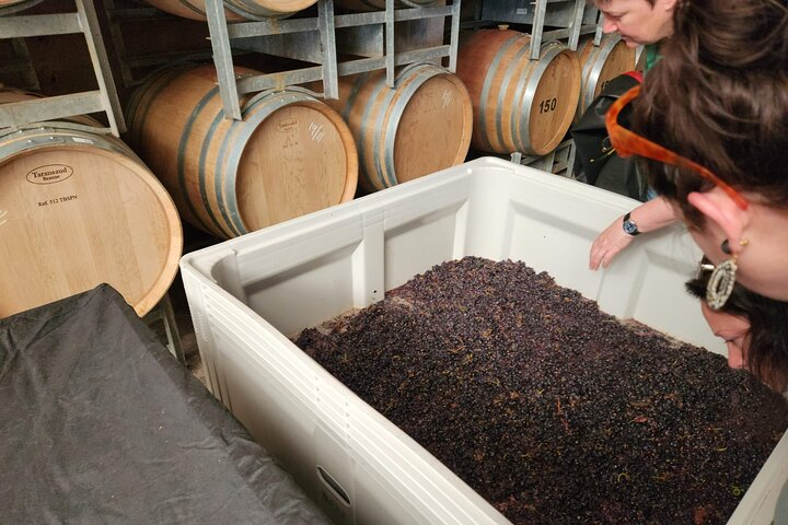  Half-Day Canberra Winery Tour to Murrumbateman /w Banquet - Photo 1 of 7