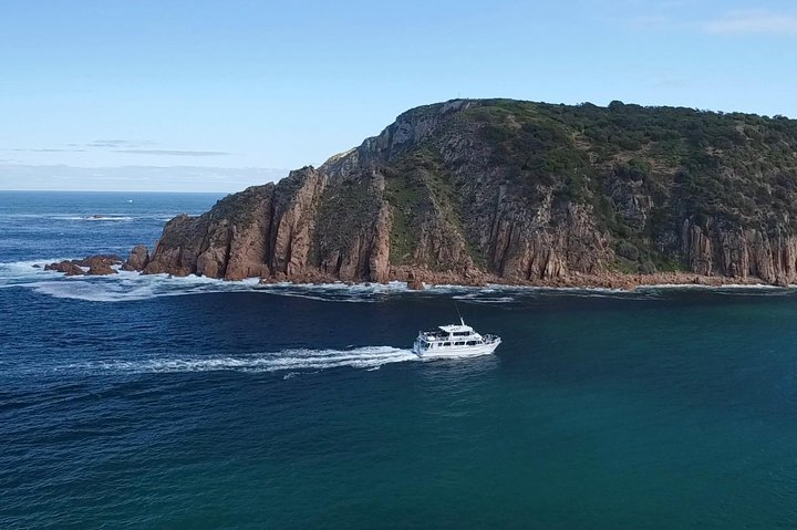 Experience the stunning cliffs and caves of Cape Woolamai while cruising on a double-deck catamaran spotting dolphins and seals all enjoyed with delightful morning tea.