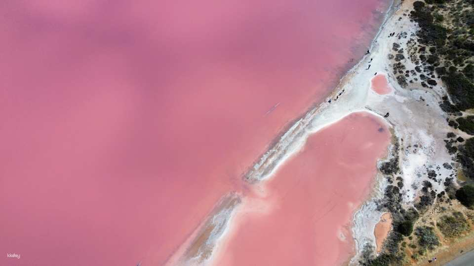 【超值版】西澳伯斯｜粉紅湖赫特潟湖+尖峰石陣＋白沙漠【航拍、觀星、小飛機】《2日小團》(廣東話/普通話/中文團隊) - Photo 1 of 7