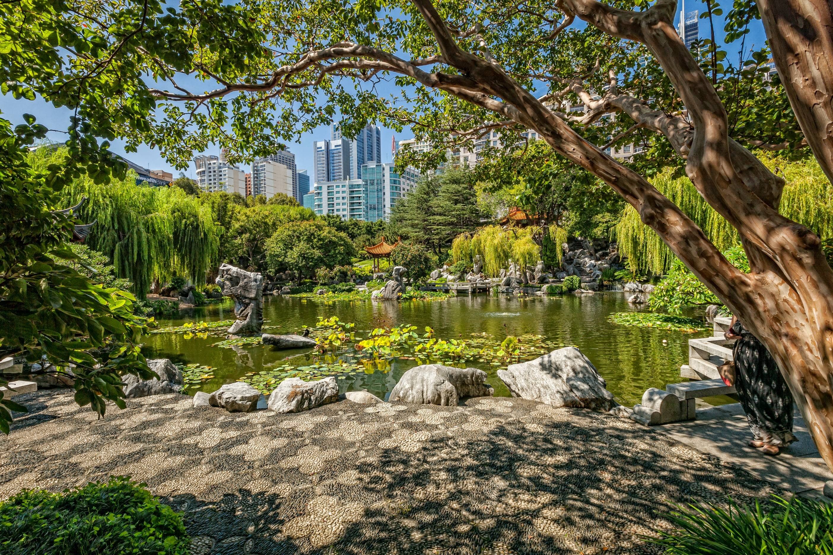 Explore winding pathways and serene lakes in the Chinese Garden of Friendship where ancient design meets modern tranquility perfect for a peaceful retreat amid Sydney's hustle.