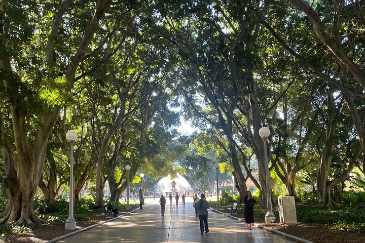 Wander beneath the sprawling canopy of trees uncovering Sydney's secrets while engaging in a compelling detective quest that merges adventure with teamwork in this stunning urban oasis.