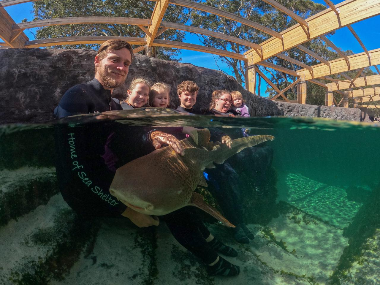 Zebra Shark Encounter - Photo 1 of 6