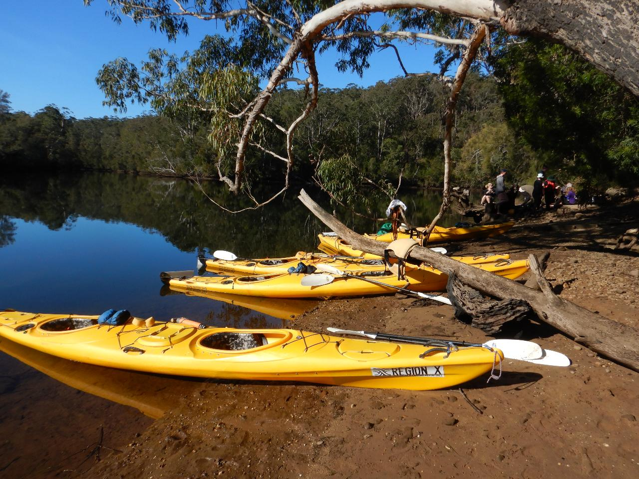 Clyde River Half Day Kayak Tour - Photo 1 of 1