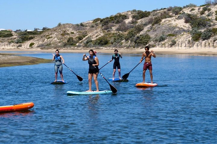 Coast to Vines: E-bike*, Paddle Board and Wine Tour (2 options) - Photo 1 of 12