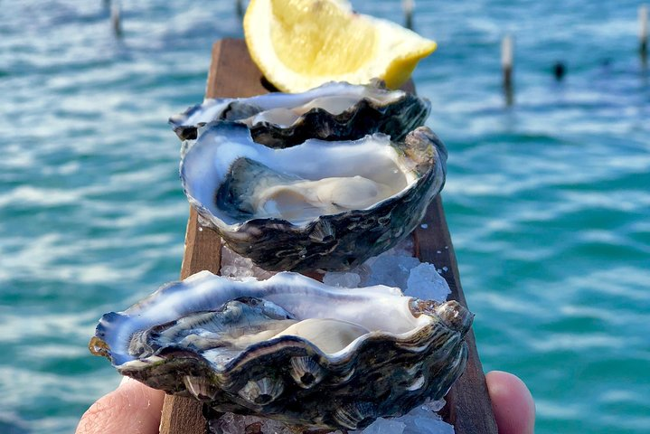 Coffin Bay Oysters, Ocean & Nature Tour - Photo 1 of 17