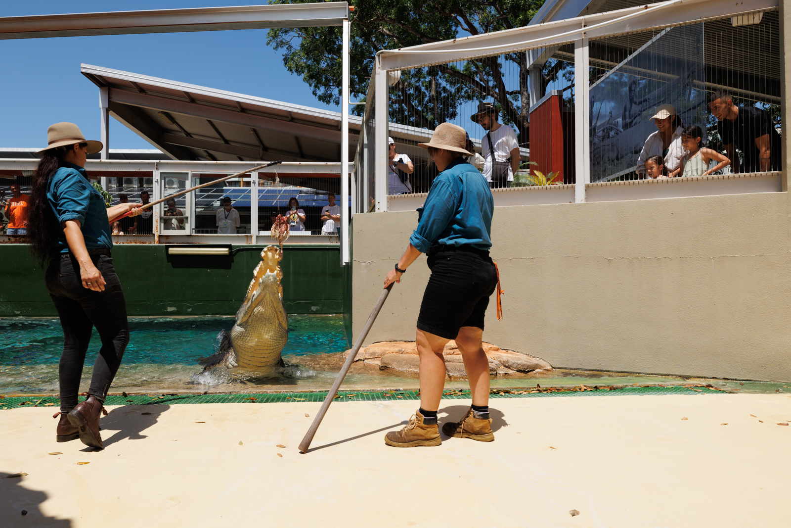 Croc Explorer Self-Guided Tour at Crocosaurus Cove - Photo 1 of 6