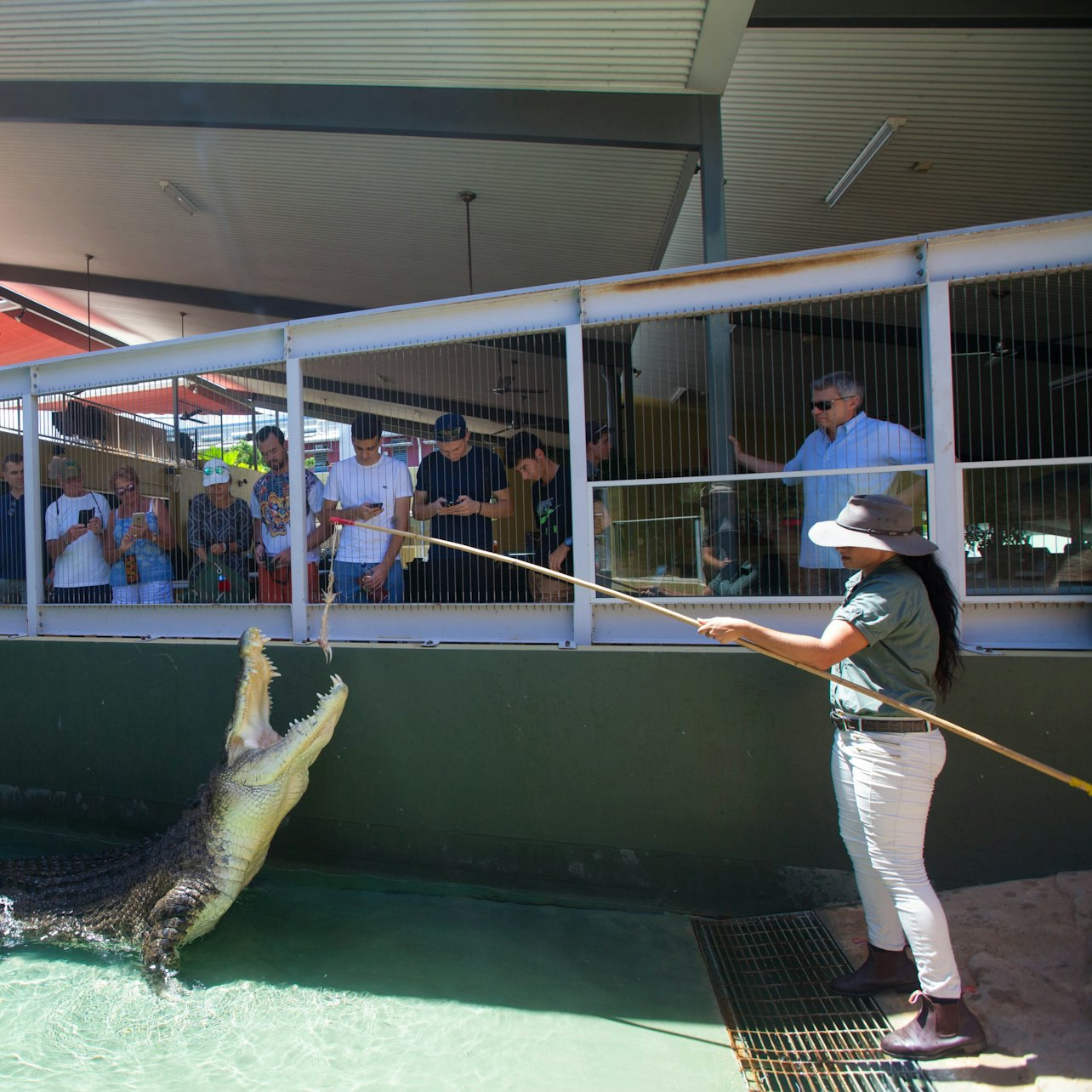 Croc N History Combo - Photo 1 of 3